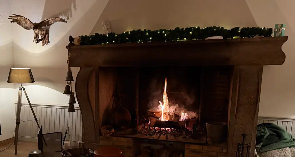 Het grote haardvuur in de winter, met een opgezette roofvogel aan de muur ernaast.