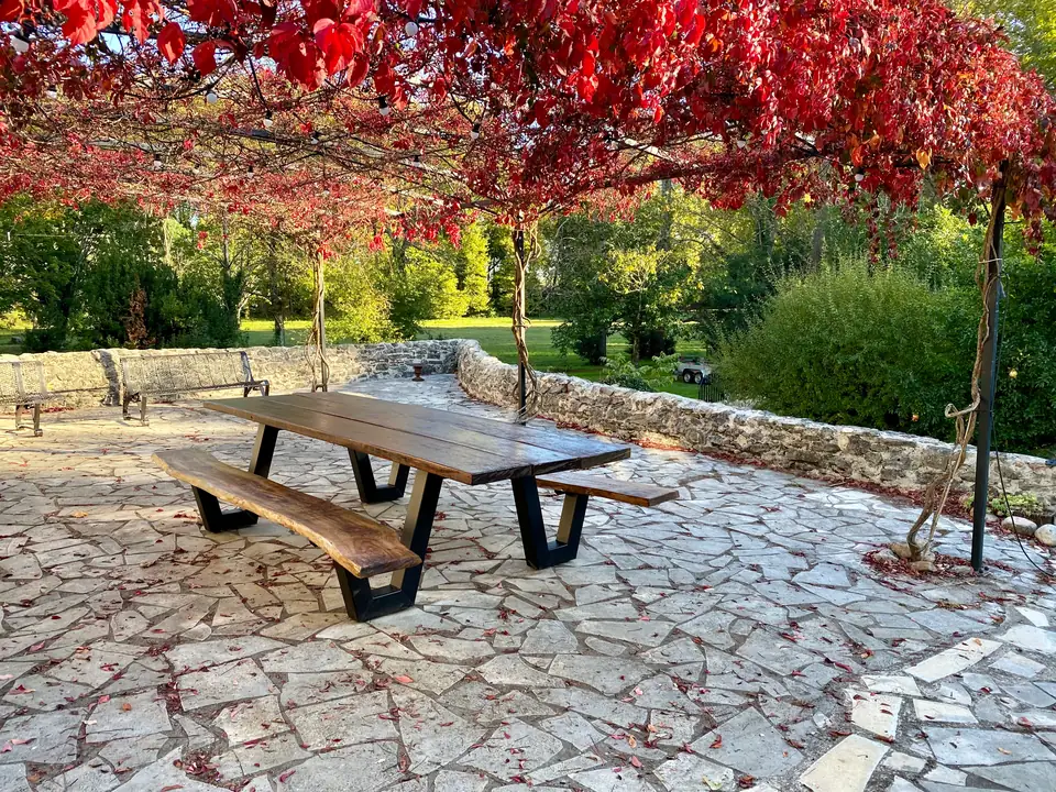 De lange tafel onder de pergola in de herfst, met dieprode wijnbladeren.