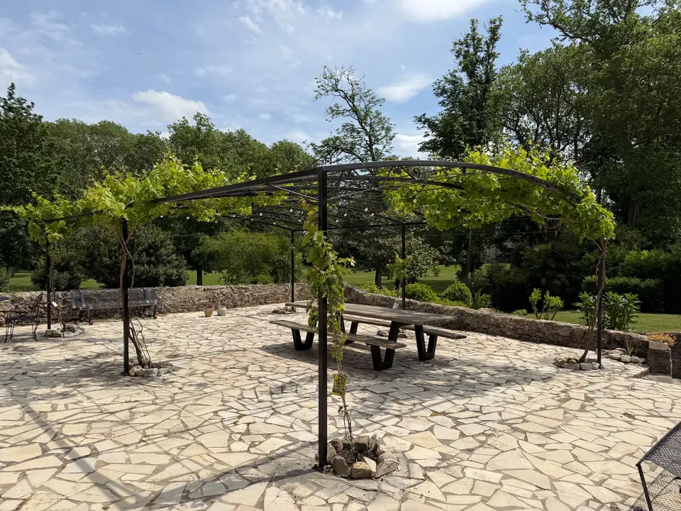 De lange houten tafel met twee banken onder de pergola met jonge wijnranken.